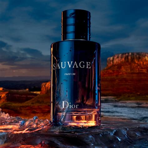 dior sauvage is it women's|what does dior sauvage smell like.